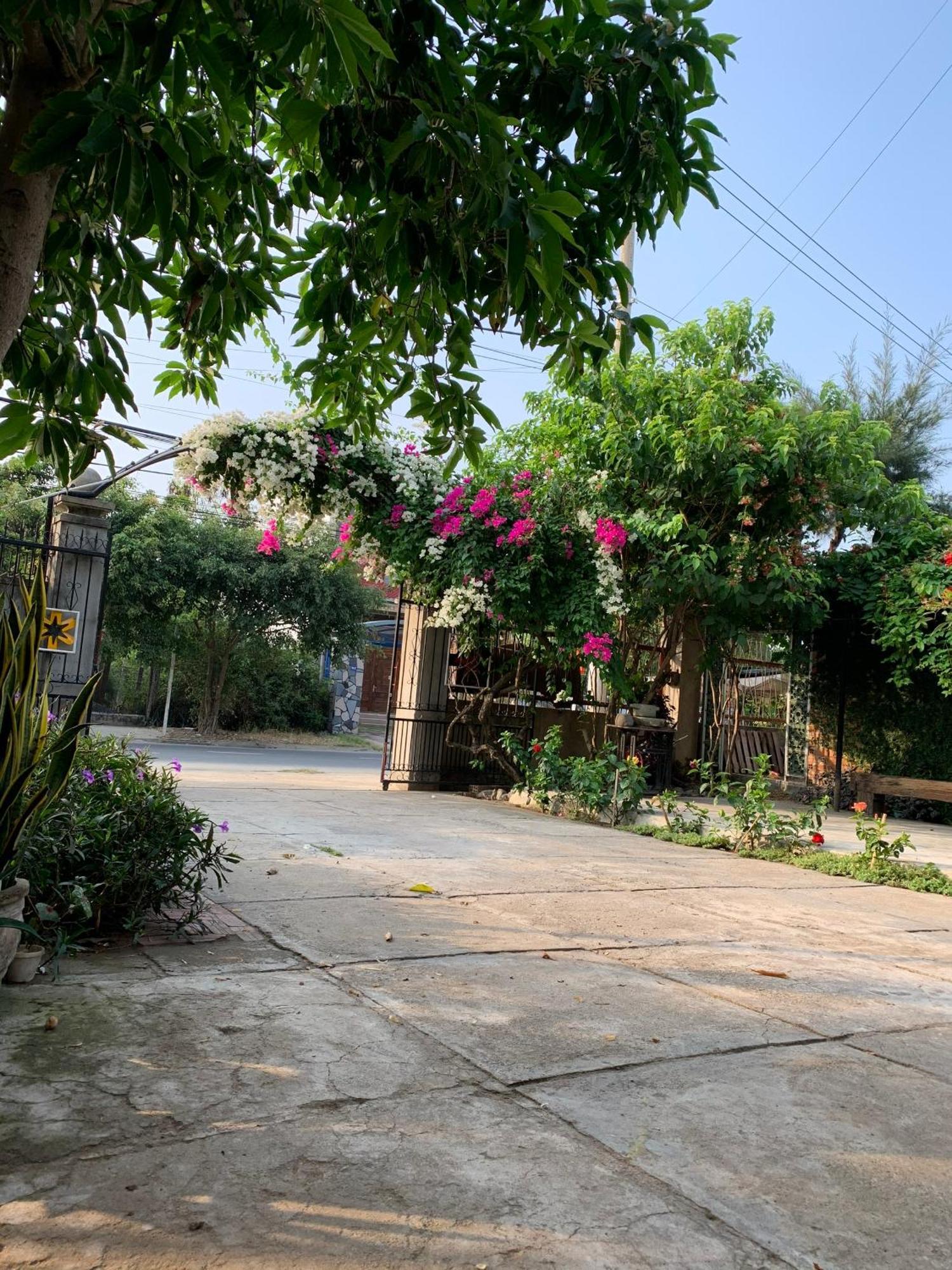 Yellow Farm Homestay Dong Tac Экстерьер фото