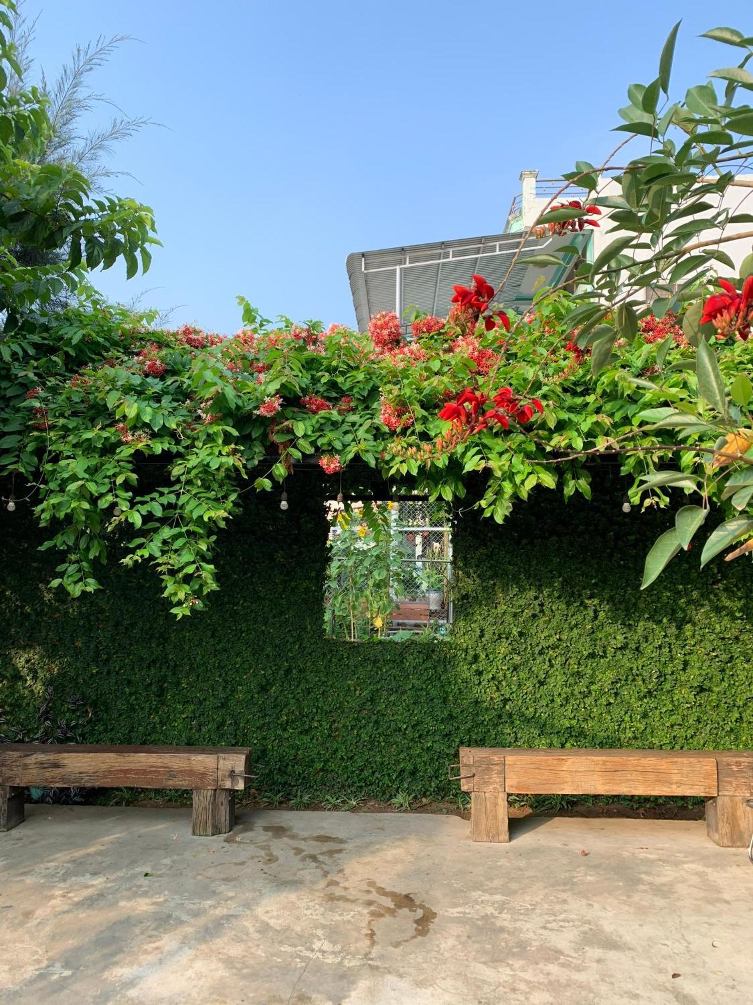 Yellow Farm Homestay Dong Tac Экстерьер фото
