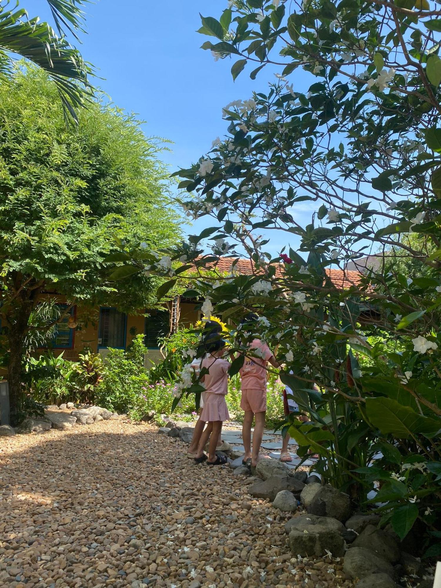 Yellow Farm Homestay Dong Tac Экстерьер фото