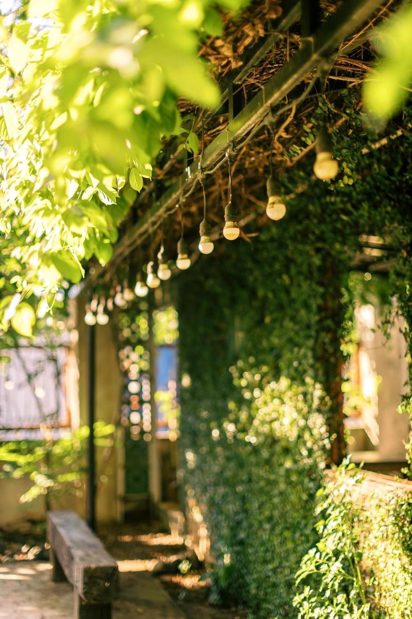 Yellow Farm Homestay Dong Tac Экстерьер фото