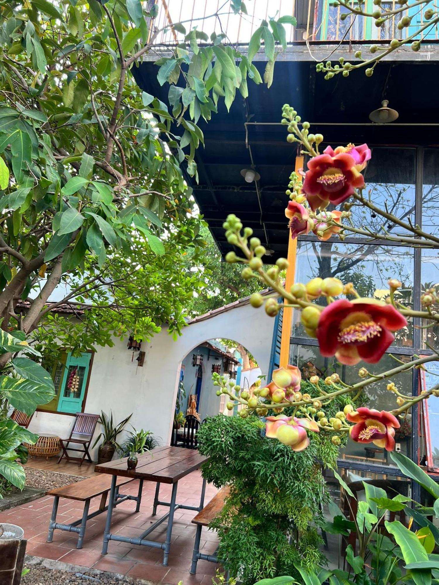 Yellow Farm Homestay Dong Tac Экстерьер фото